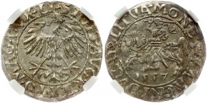 Lituanie Polgrosz 1557 Vilnius NGC MS 62