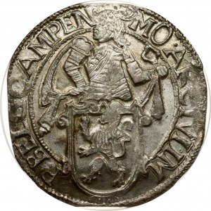 Paesi Bassi KAMPEN 1 Leone Daalder 1648 NGC MS 63