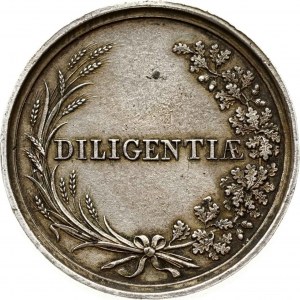 Médaille DILIGENTIAE Alexandre Ier (R3)