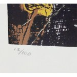 Andy Warhol (1928-1987), Drag Queen , litografia, edizione 12/100