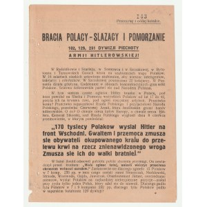 BRACIA Polacy - Ślązacy i Pomorzanie 102, 129, 251 Dywizji Piechoty Armii Hitlerowskiej - 1942