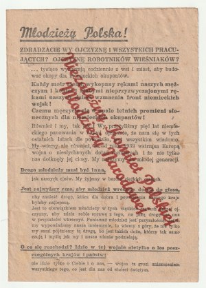 YOUTH Poland! - Leaflet of the Independent National Youth Committee (made up by German propaganda)