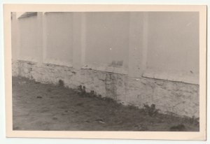 SAMBOR. Fotografia z 4.7.41 (popis na zadnej strane) zobrazujúca stenu, pod ktorou boľševici popravovali väzňov