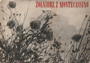 I SOLDATI DI Montecassino. Album di fotografie dal campo di battaglia