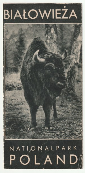 BIAŁOWIEŻA. Nationalpark Polen. Faltblatt über den Urwald aus dem Jahr 1937