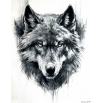 Weronika Formejster, Wolf, 2024