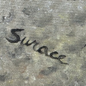 SURACE, Vue de l'île d'Ischia - Surace