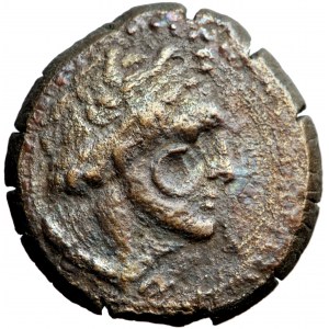 Królestwo Ptolemeuszy, obol, Ptolemeusz III, Kyrene, 246-222 przed Chr.