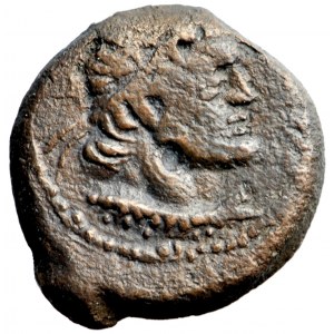 Królestwo Ptolemeuszy, chalk, Ptolemeusz IX, Kyrene, 115-104/1 przed Chr.