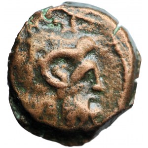 Królestwo Ptolemeuszy, chalk, Kleopatra III i Ptolemeusz IX, Kyrene, 116-107 przed Chr.