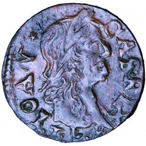 Polska, Jan Kazimierz, Litwa, mały szeląg miedziany (boratynka) 1666, men. Wilno, T.L. Boratyni
