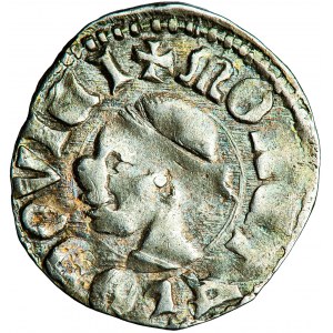Węgry, Ludwik I Wielki, denar, 1358-66, men. nieokreślona