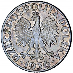 II Rzeczpospolita Polska, 5 złotych 1936, Żaglowiec, men. Warszawa
