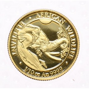Somalia, Słoń, 1/10 oz. Au, 2023r.