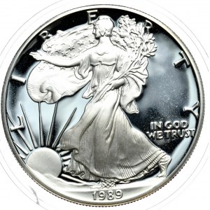 USA, 1 Dolar, 1989r., PROOF, 1 oz, srebro 999,