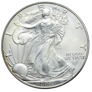 USA, 1 Dollar, 2000, 1 oz, fine silver