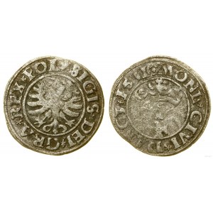 Polska, szeląg, 1531, Gdańsk