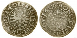 Polen, Scheląg, 1531, Danzig