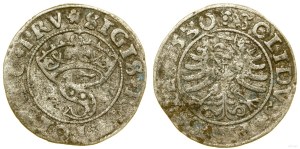 Pologne, shelby, 1530, Toruń