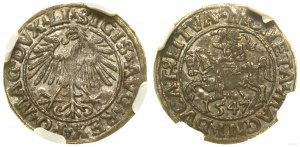 Polonia, mezzo penny, 1547, Vilnius