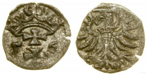Polonia, denario, 1556, Danzica