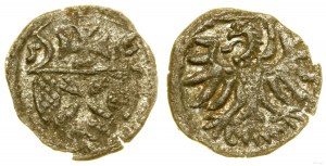 Pologne, denier, 1556, Elbląg