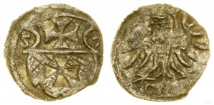 Polonia, denario, 1557, Elbląg