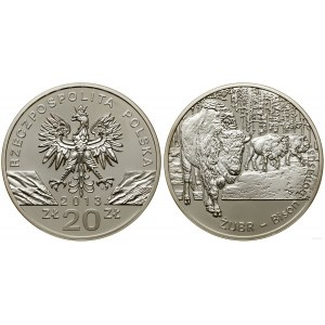 Poland, 20 zloty, 2013, Warsaw