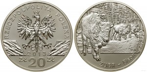 Poland, 20 zloty, 2013, Warsaw