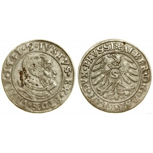 Herzogliches Preußen (1525-1657), Pfennig, 1531, Königsberg