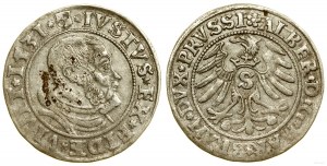 Herzogliches Preußen (1525-1657), Pfennig, 1531, Königsberg