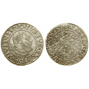 Prussia Ducale (1525-1657), penny, 1537, Königsberg