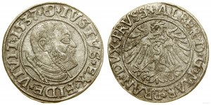 Prusse ducale (1525-1657), pièce de monnaie, 1537, Königsberg