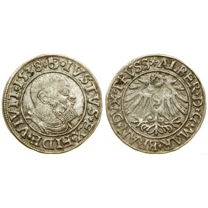 Prusse ducale (1525-1657), sou, 1538, Königsberg