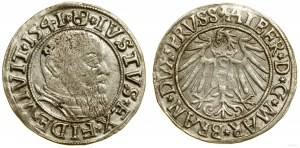 Knížecí Prusko (1525-1657), groš, 1541, Königsberg