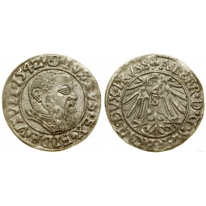 Prussia Ducale (1525-1657), penny, 1542, Königsberg