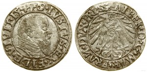 Knížecí Prusko (1525-1657), groš, 1543, Königsberg