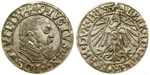 Kniežacie Prusko (1525-1657), groš, 1544, Königsberg