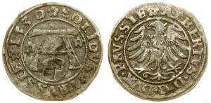 Prussia Ducale (1525-1657), gommalacca, 1530, Königsberg