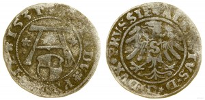 Prussia Ducale (1525-1657), gommalacca, 1531, Königsberg