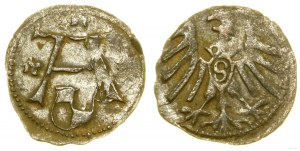 Prusse ducale (1525-1657), denier, sans date, Königsberg