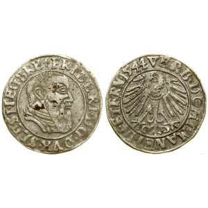 Sliezsko, penny, 1544, Legnica