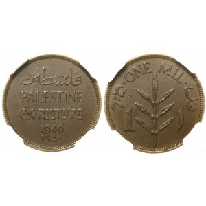 Palestine, 1 mile, 1940, Londres