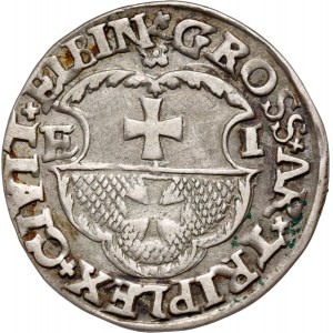 Zygmunt I Stary, trojak 1536, Elbląg