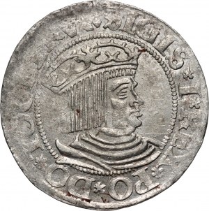 Sigismund I the Old, penny 1531, Gdańsk