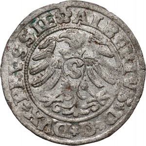 Ducal Prussia, Albrecht Hohenzollern, 1530 shekel, Königsberg