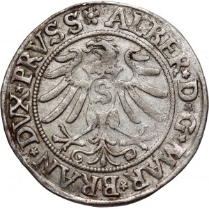 Prusy Książęce, Albert Hohenzollern, grosz 1533, Królewiec