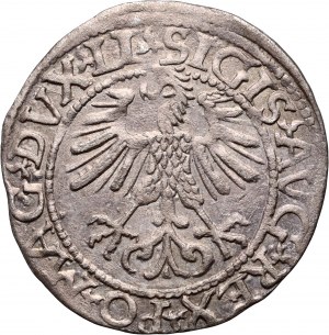 Sigismund II Augustus, half-penny 1561, Vilnius