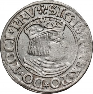 Sigismund I the Old, penny 1531, Gdańsk