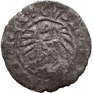 Riga, Archbishopric, Wilhelm Markgraf von Brandenburg, Shelby 1543